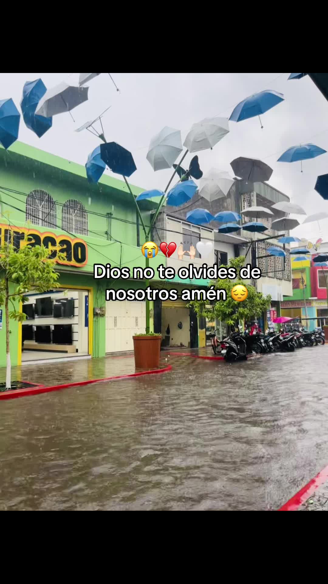 @Castro🍃