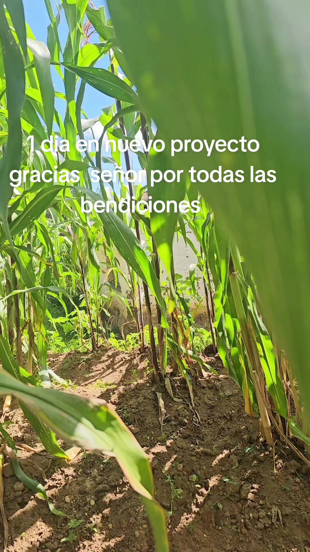 @CONSTRUCCIONES VICASTHER