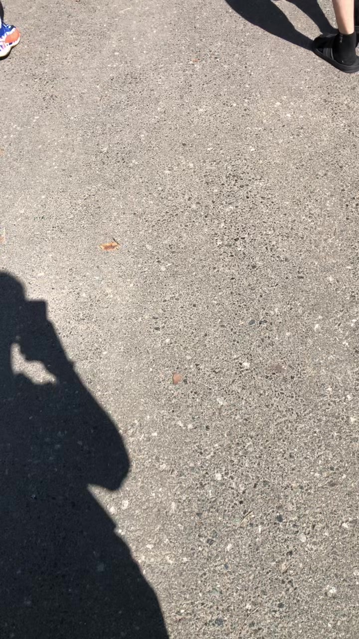 @Тгк:🗣️Городскооой