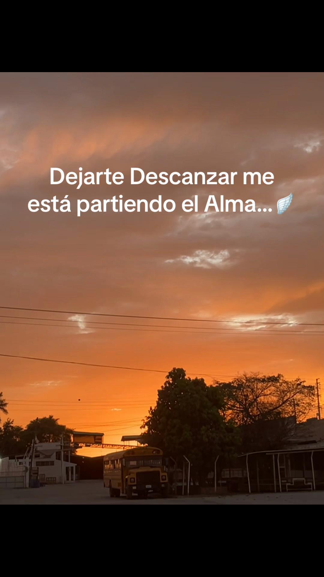 @perla medina