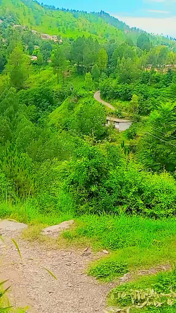 @khizzar malik 7290