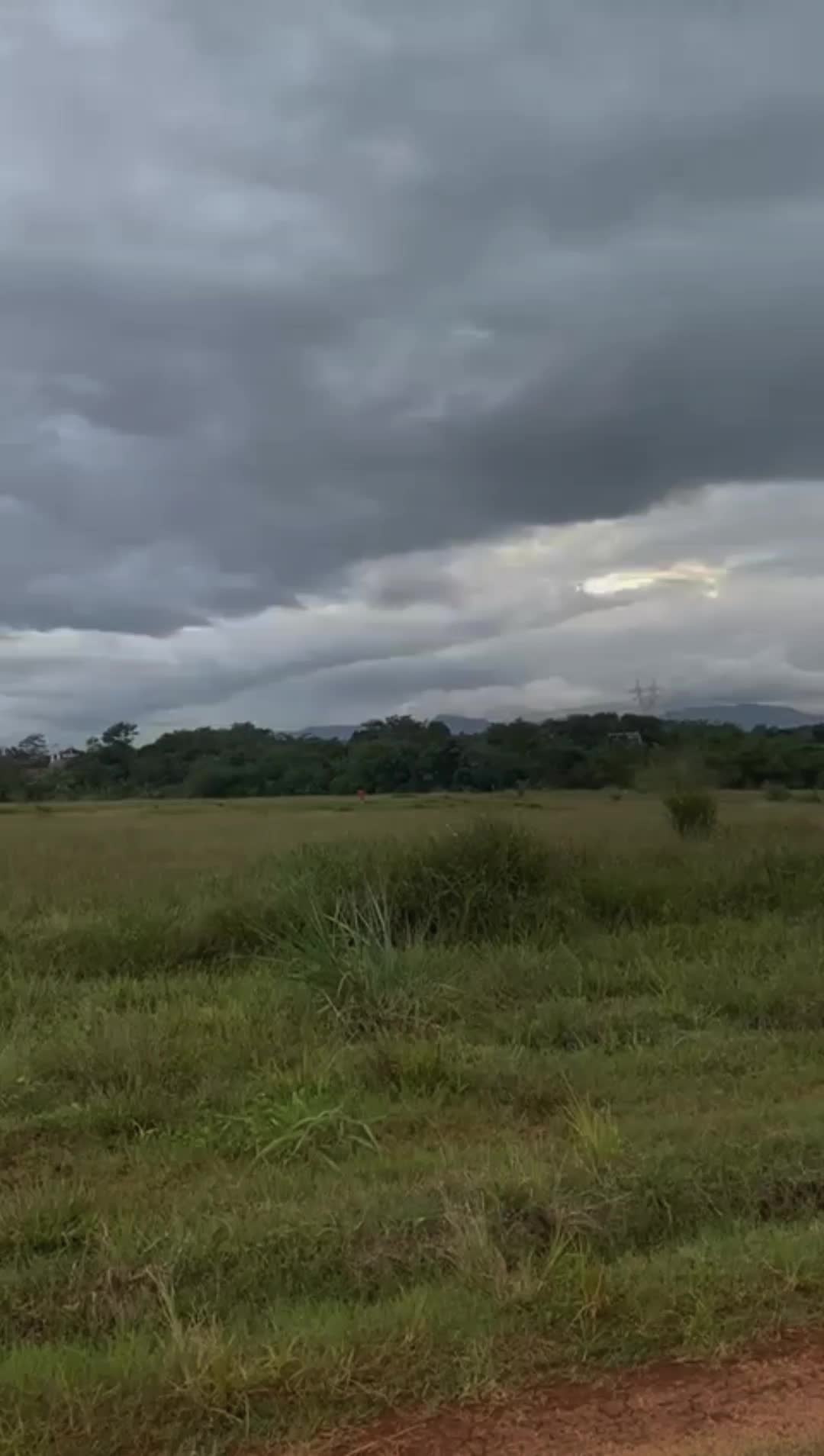 @26_