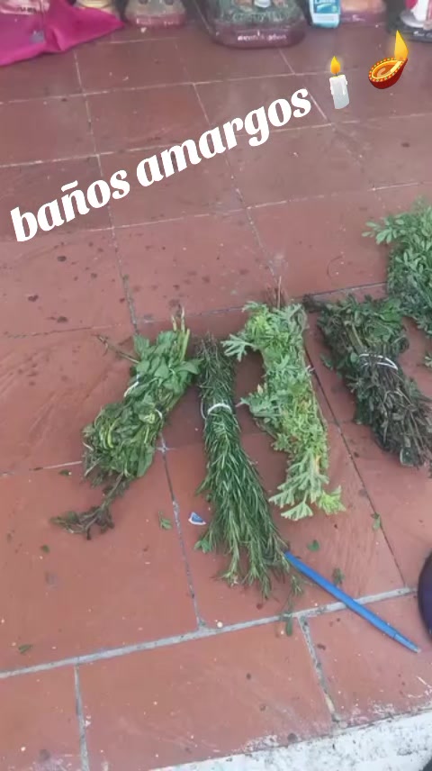 @Sofia Marin