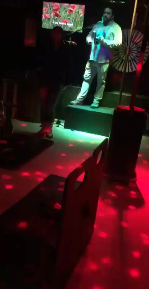 @Carol Fer - music