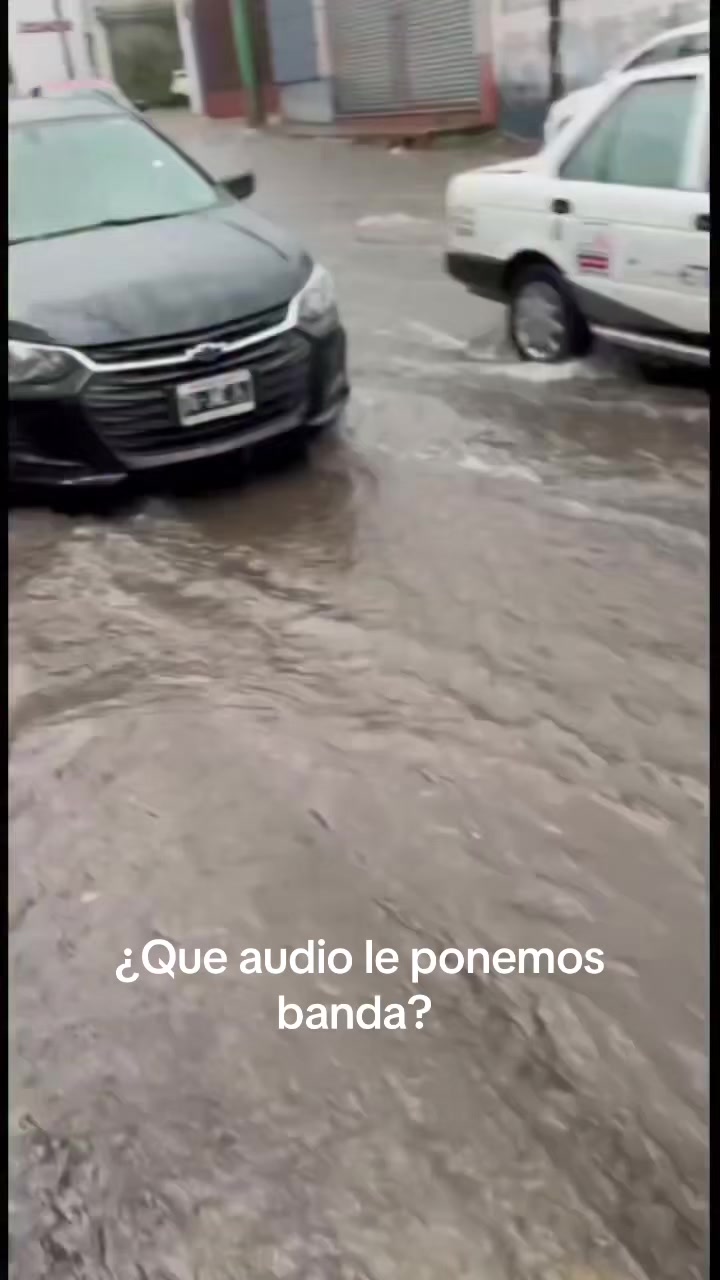 @El Beboz