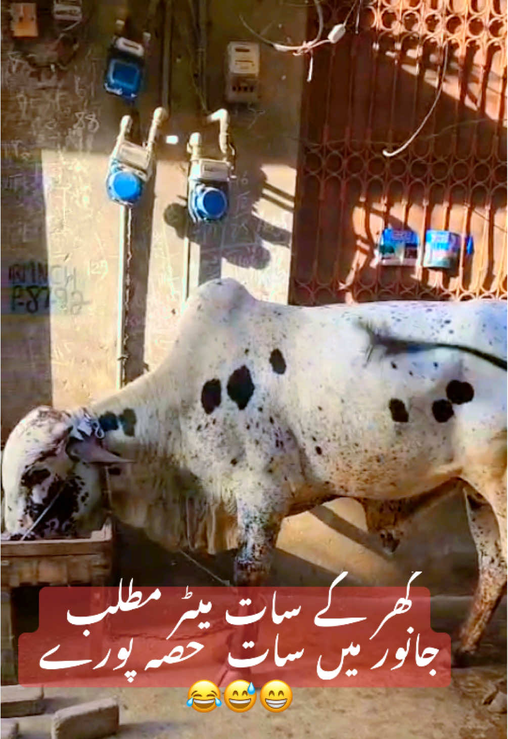 @emranbaloch6500