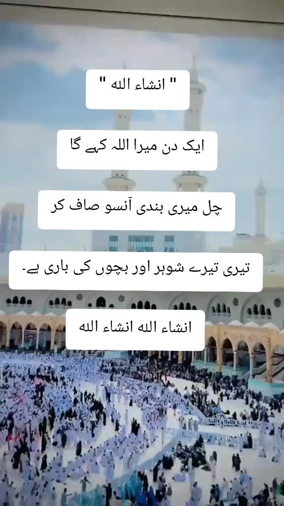 @Fatima Faisal❤️