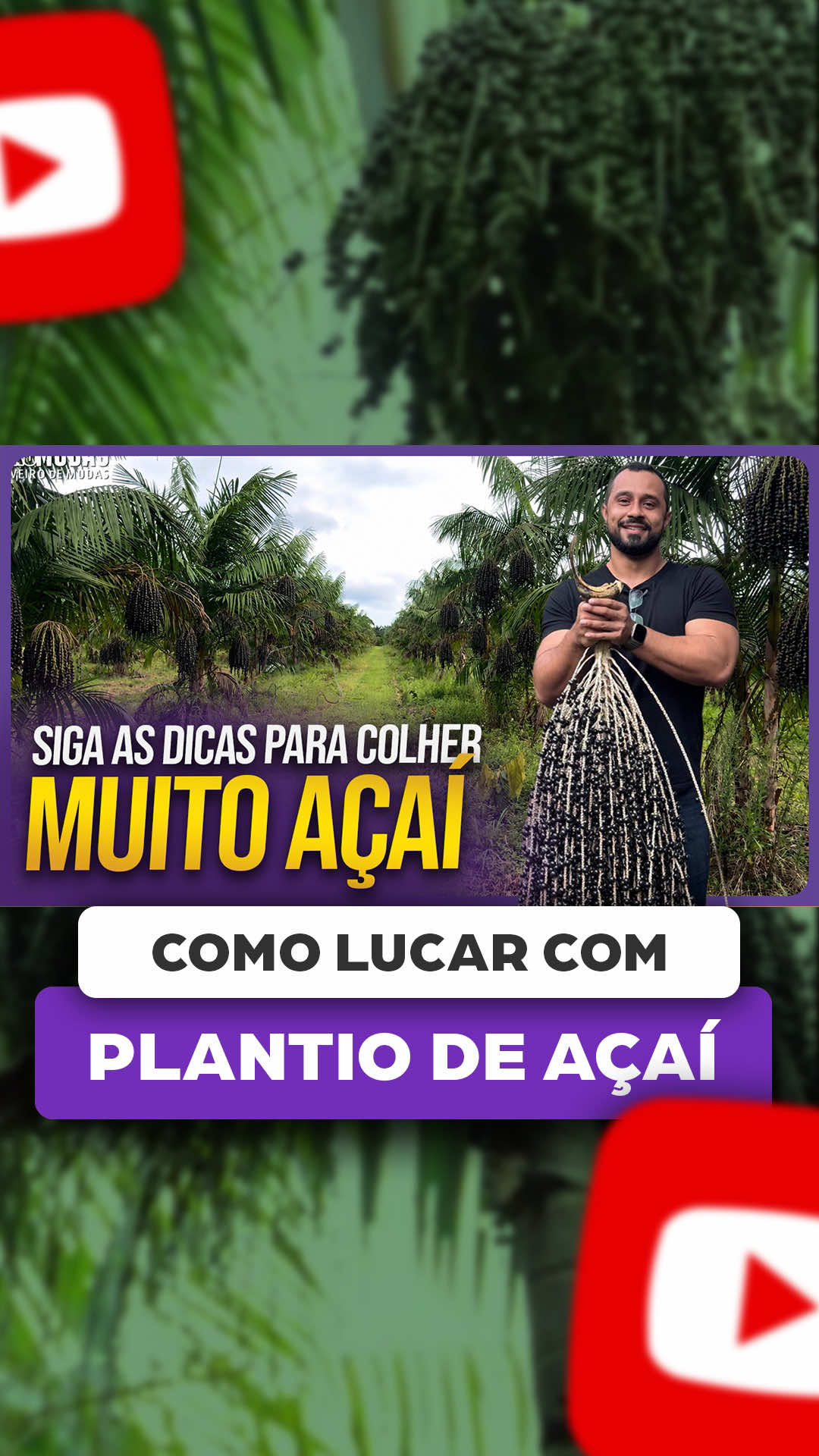 @ViveiroProMudas