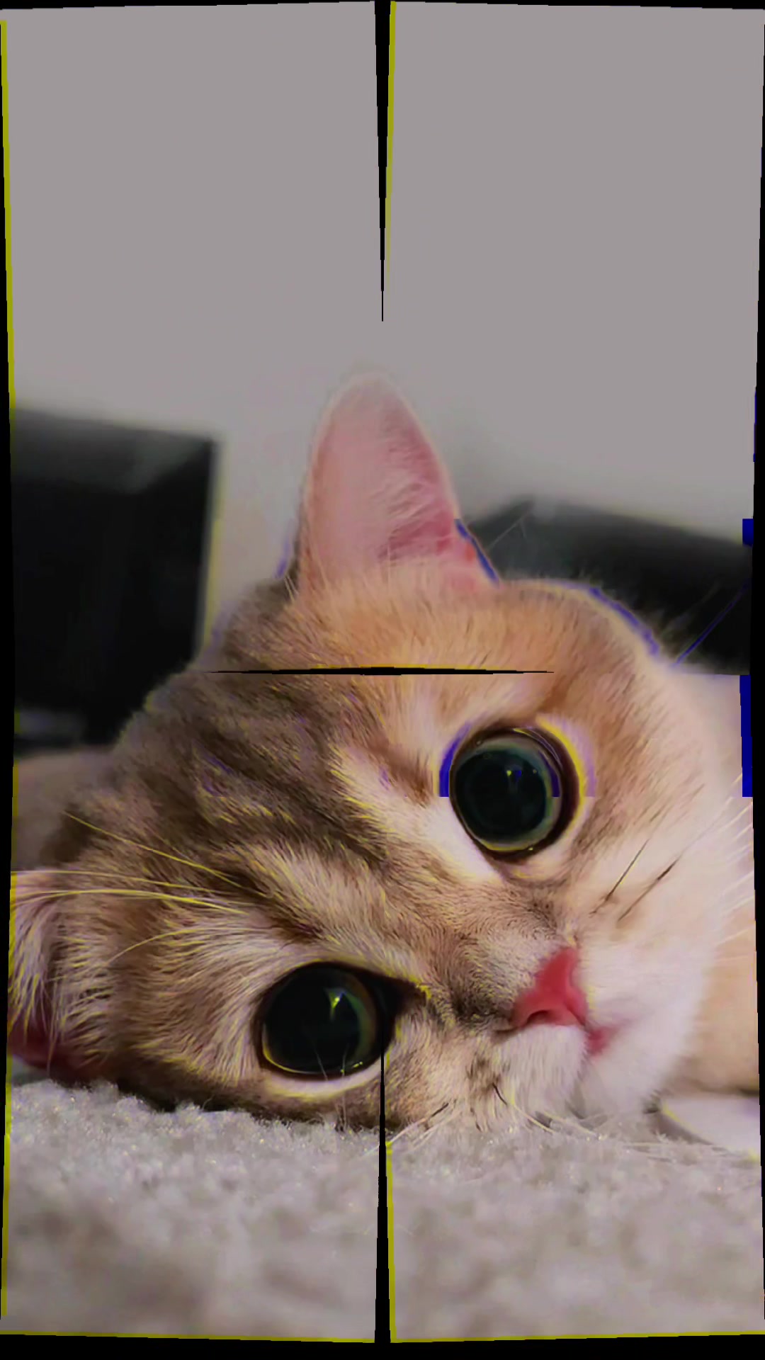 @𝕽𝕭_𝕿𝖊𝖒𝖕𝖑𝖆𝖙𝖊