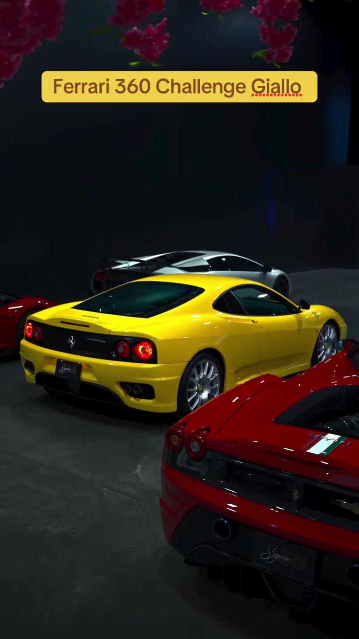 @the car performance
