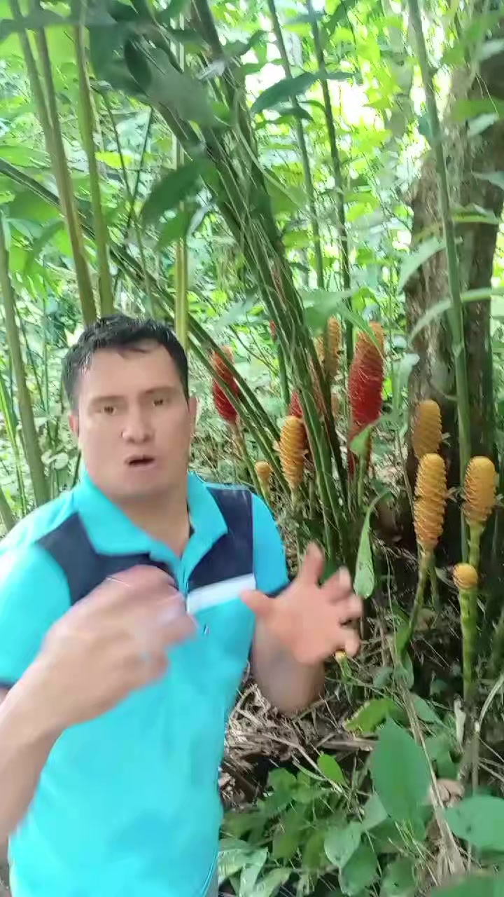 @Jairo desde el campo.