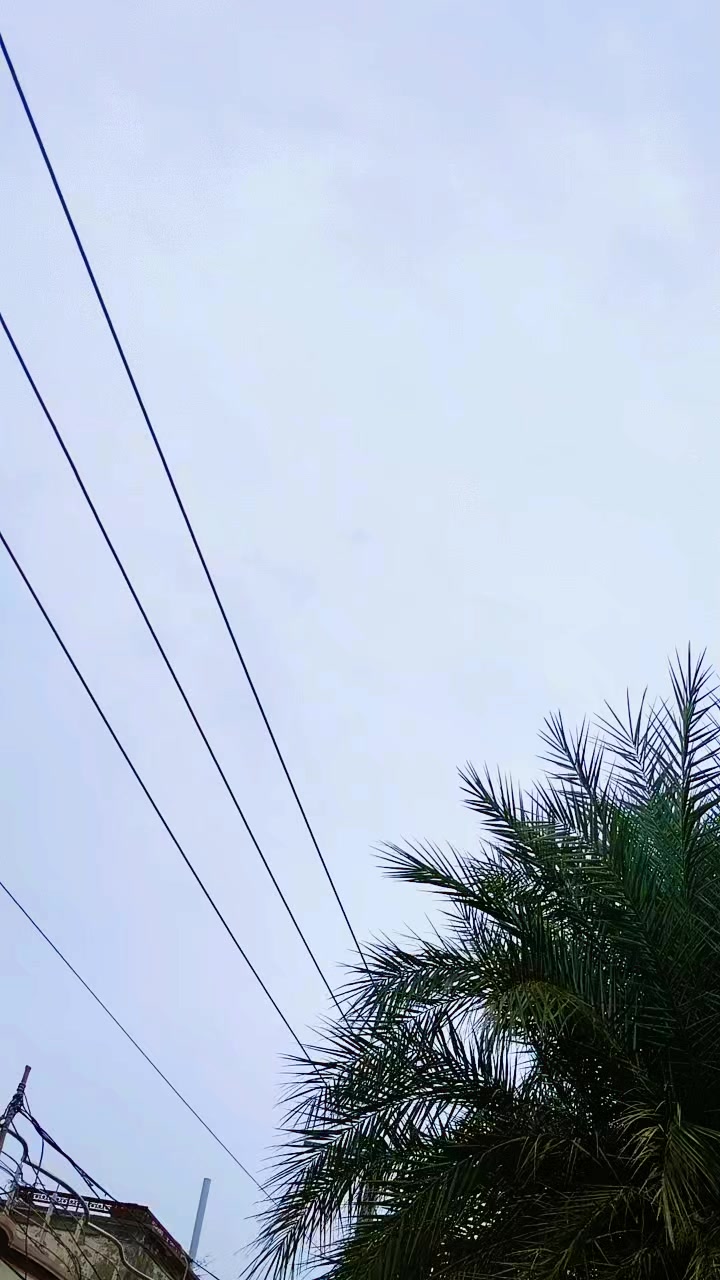 @NK  Jan 804