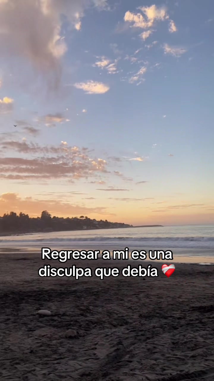 @lafeermiauu