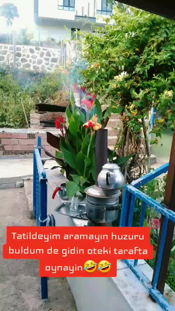 @havzali.1987