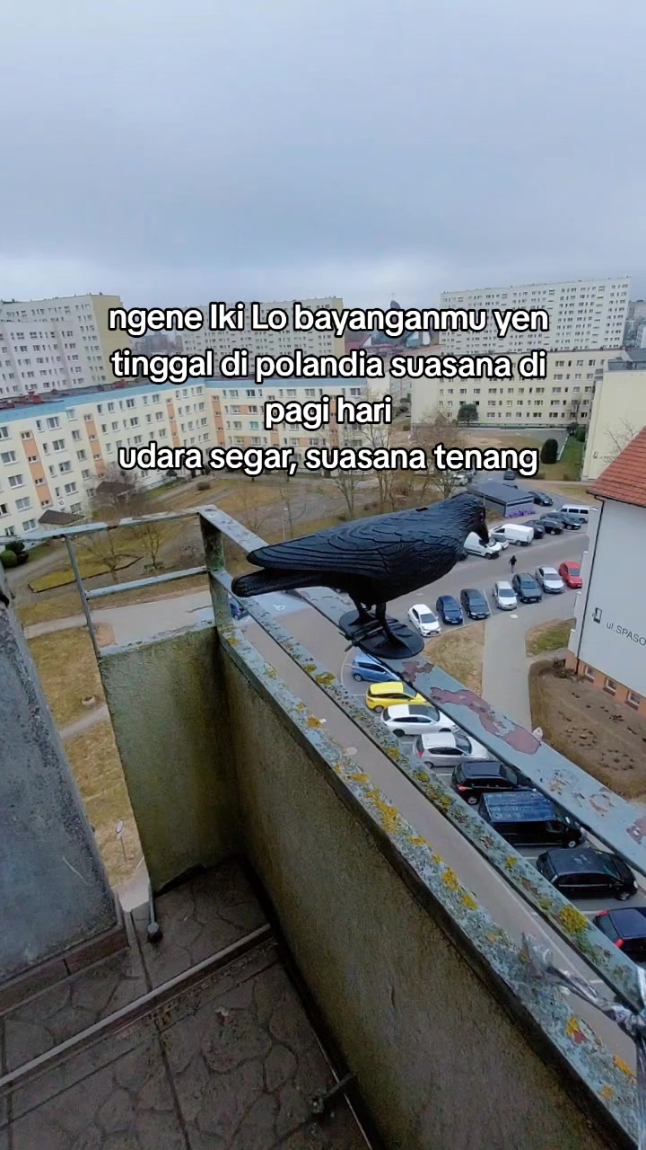 @Mas_ An_12 🇪🇺