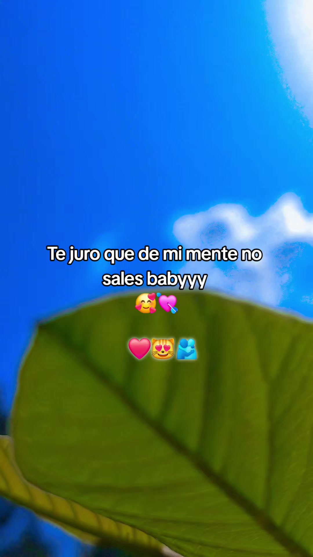 @☦️Solitario Oficial ✝️🥁🙌