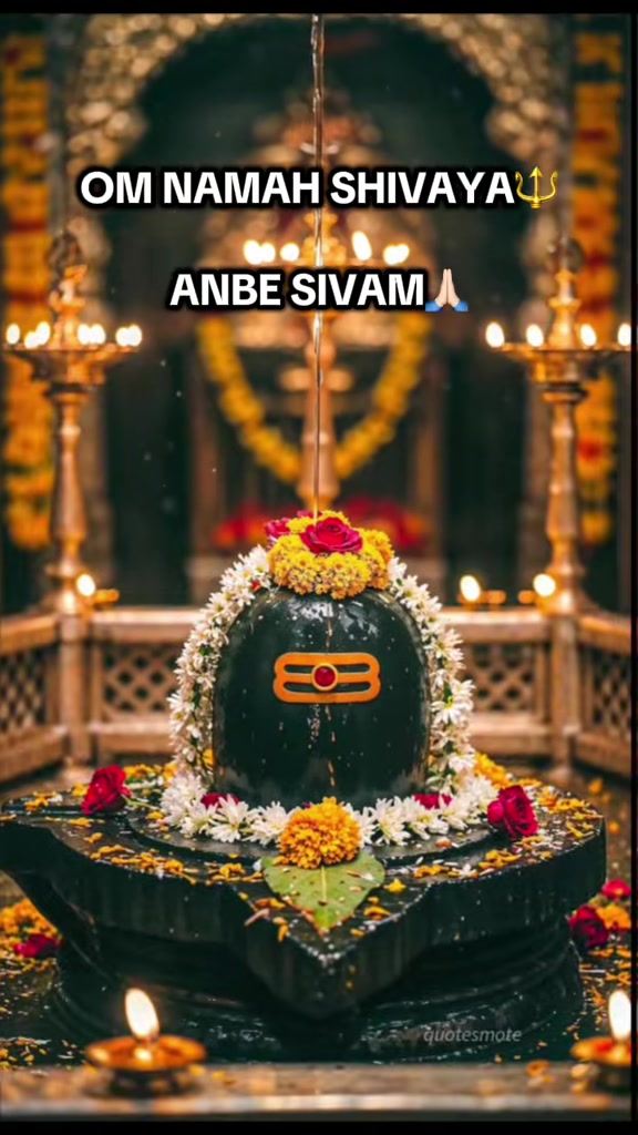 @Rudraksha Empire