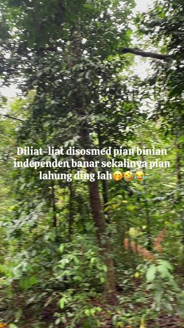@INISIAL AR🚀🇸🇦