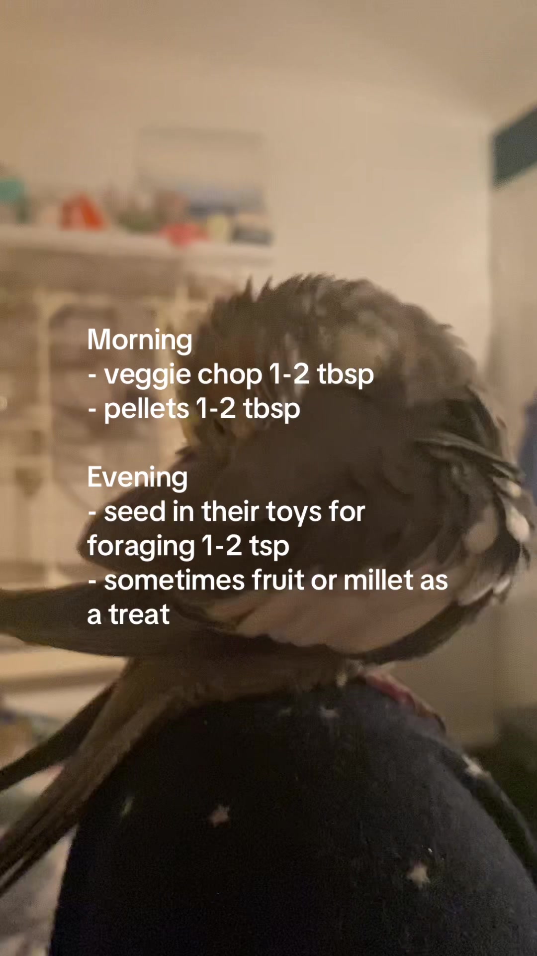 @mybirdjourney;)