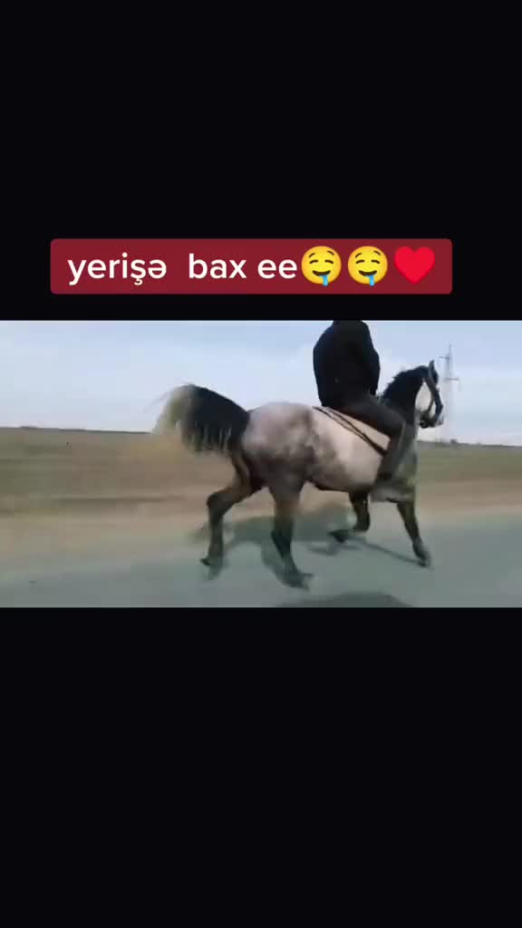 @♘𝐀𝐓 𝐇Ə𝐕Ə𝐒K𝐀𝐑𝐋𝐀𝐑𝐈♘