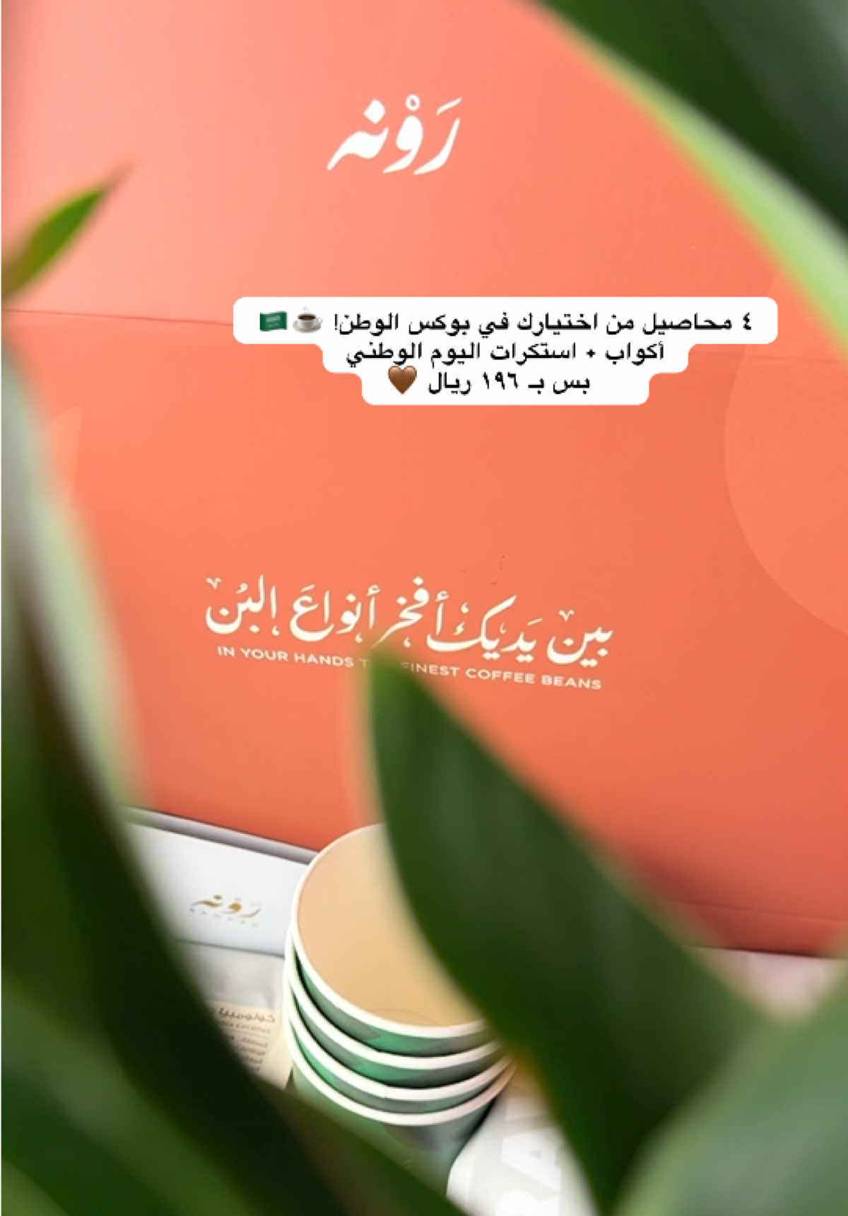 @أميرة المطيري 🕊️