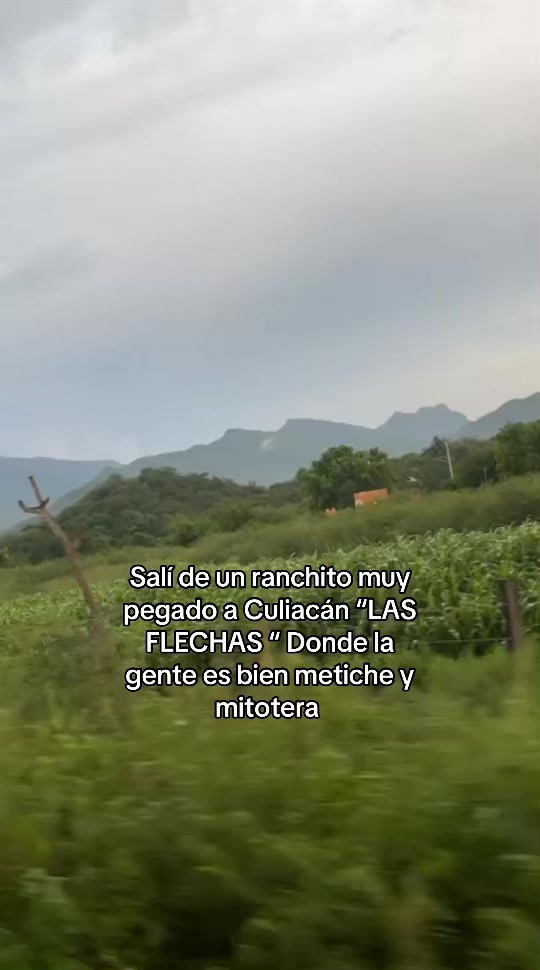 @Elarmdp16