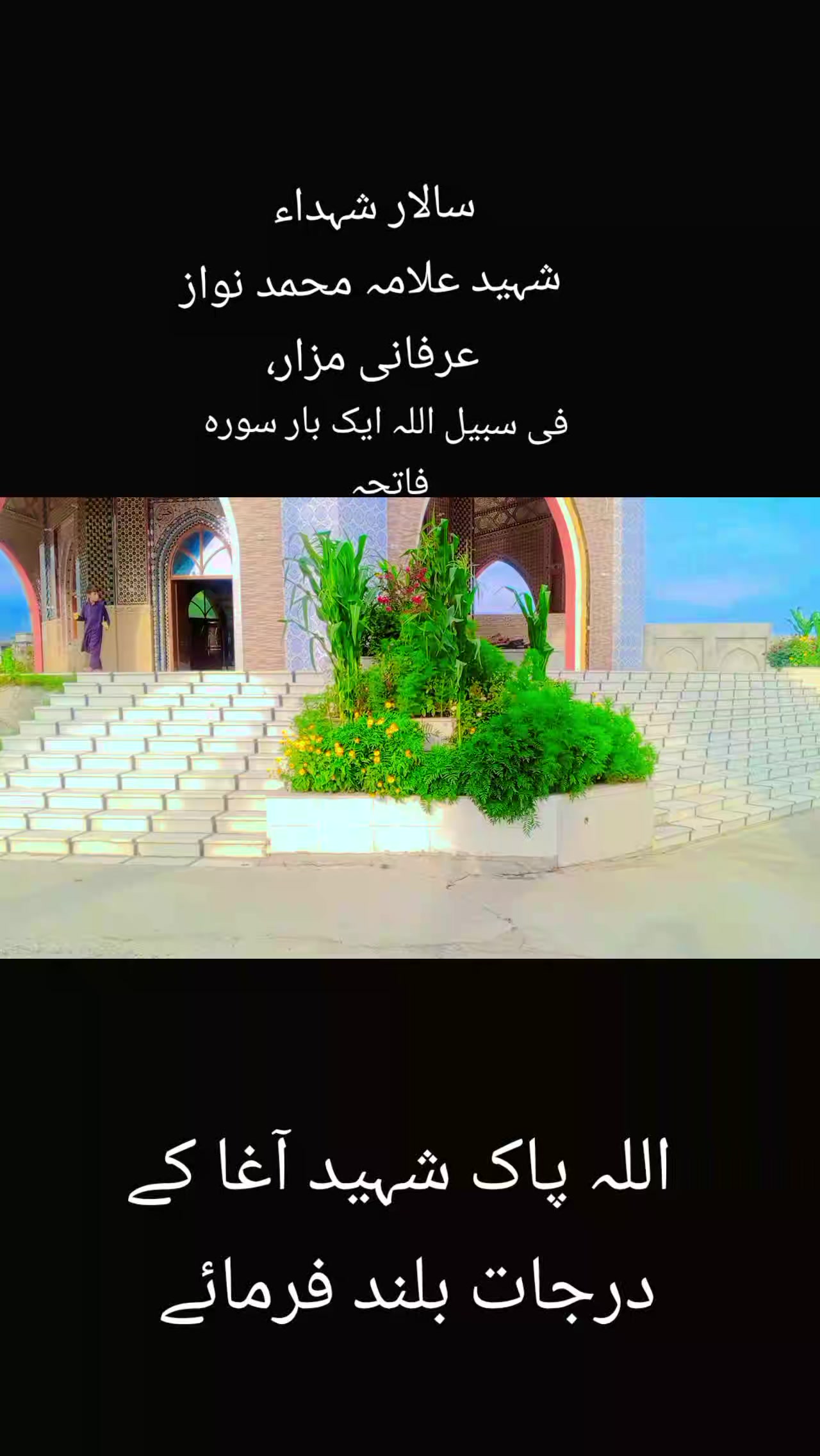 @Jauhar Ali Razdar