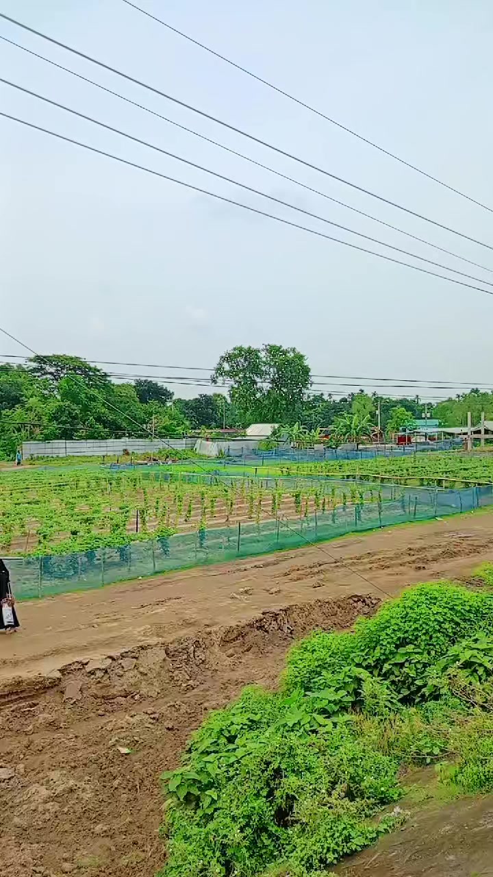 @আকলিমা আক্তার9999