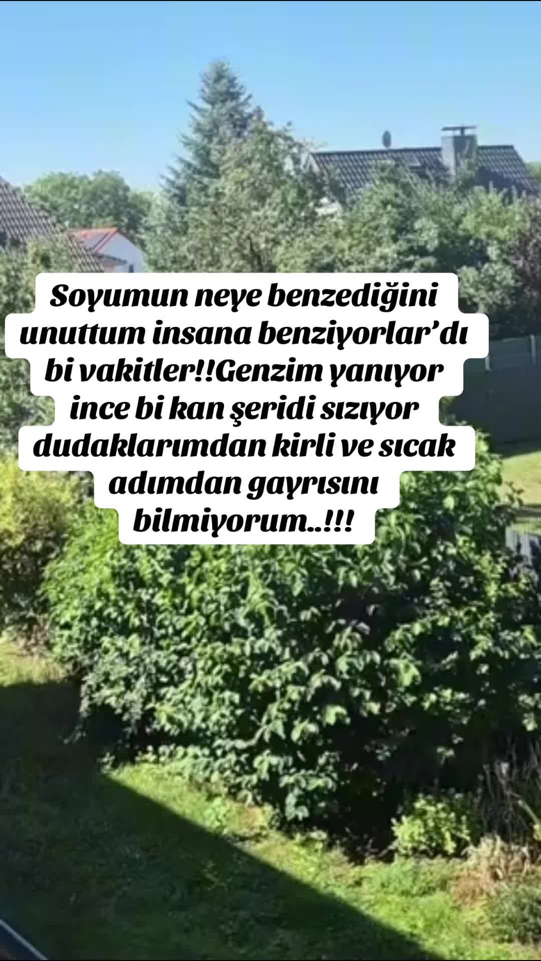 @Buzbeyi