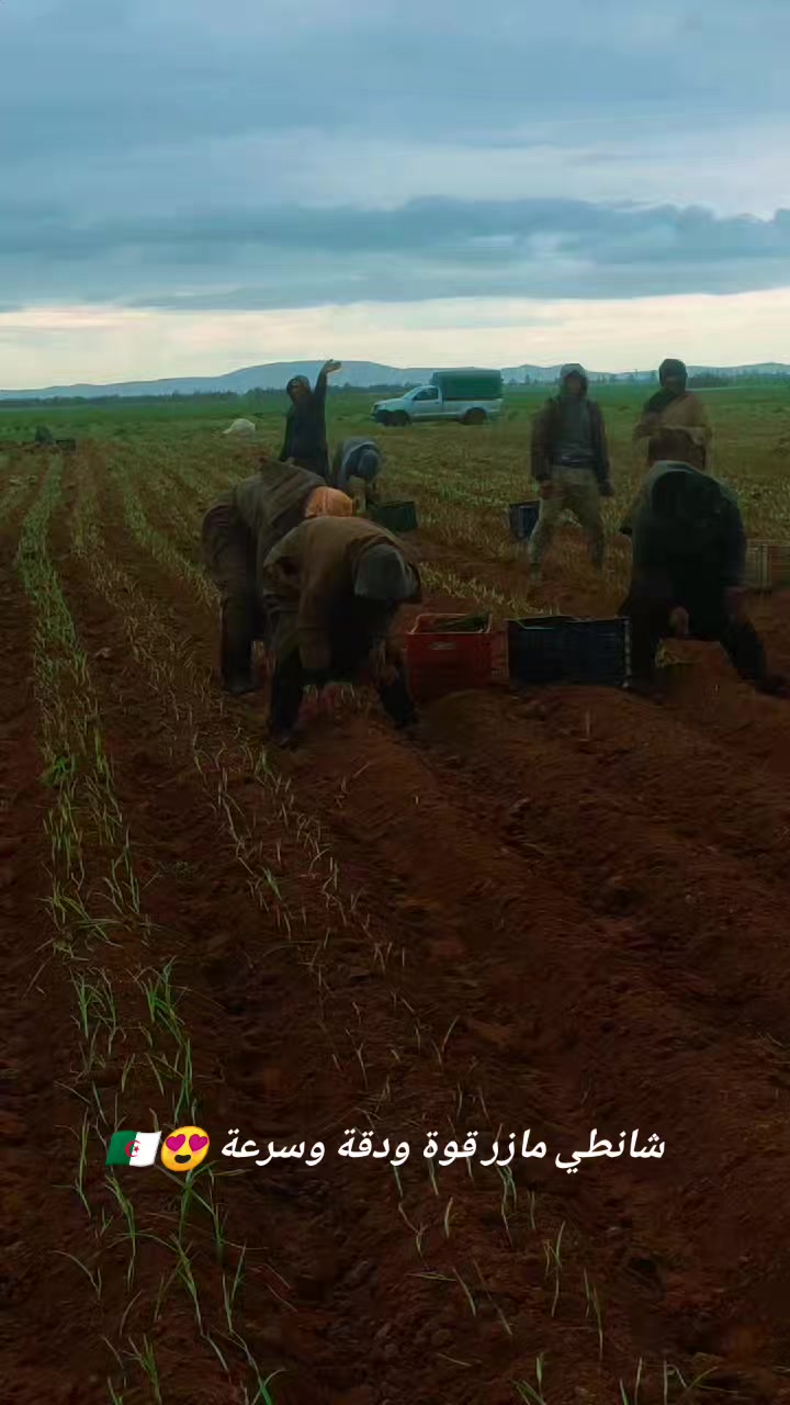 @🦅إمبراطور الرشايقة 🧅