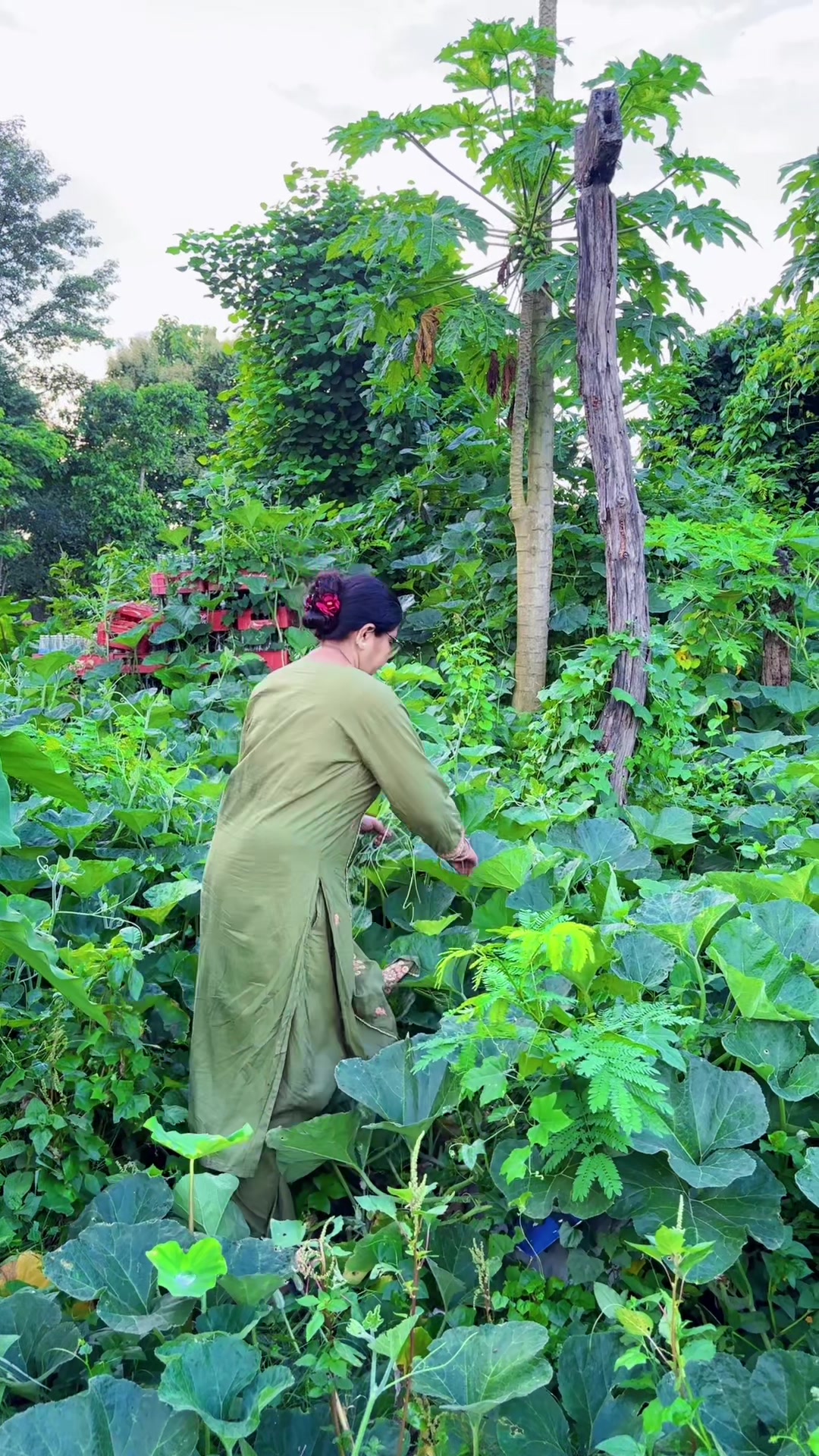 @उमा वाग्ले पराजुली ❤️