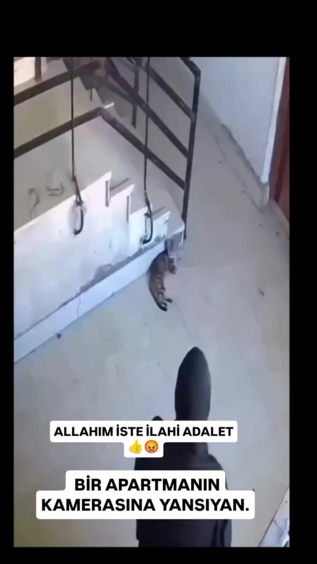 @FATİH ZEYNEP AŞKIN NİAGARAM