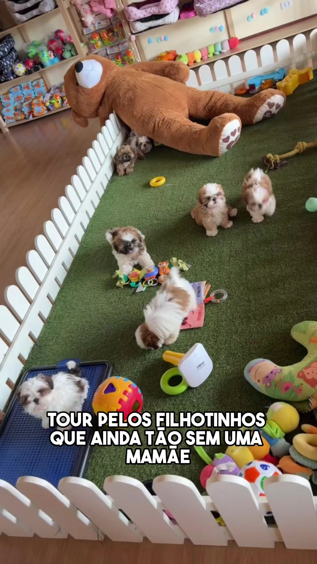 @Casa dos Ursinhos
