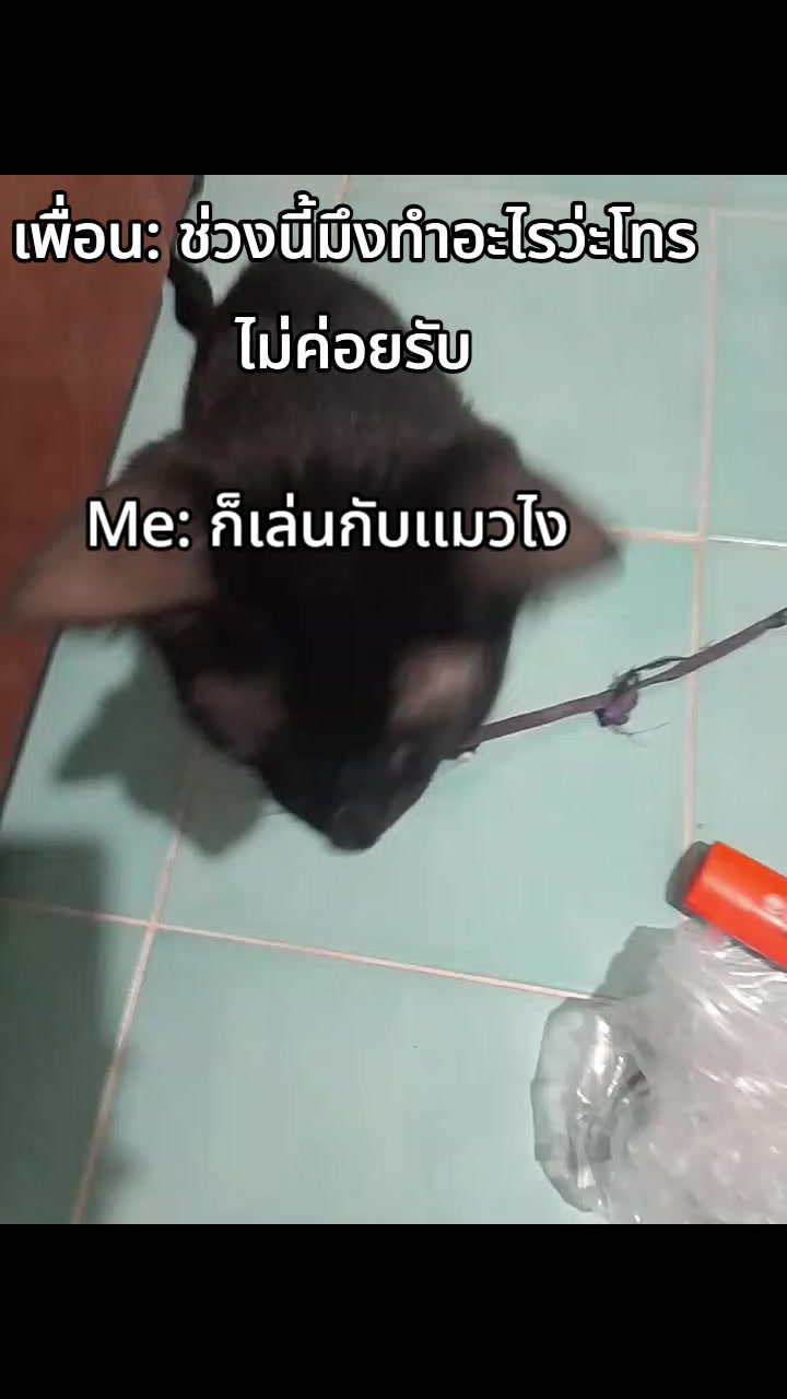 @4/2ดิว่ะะ 016🤪