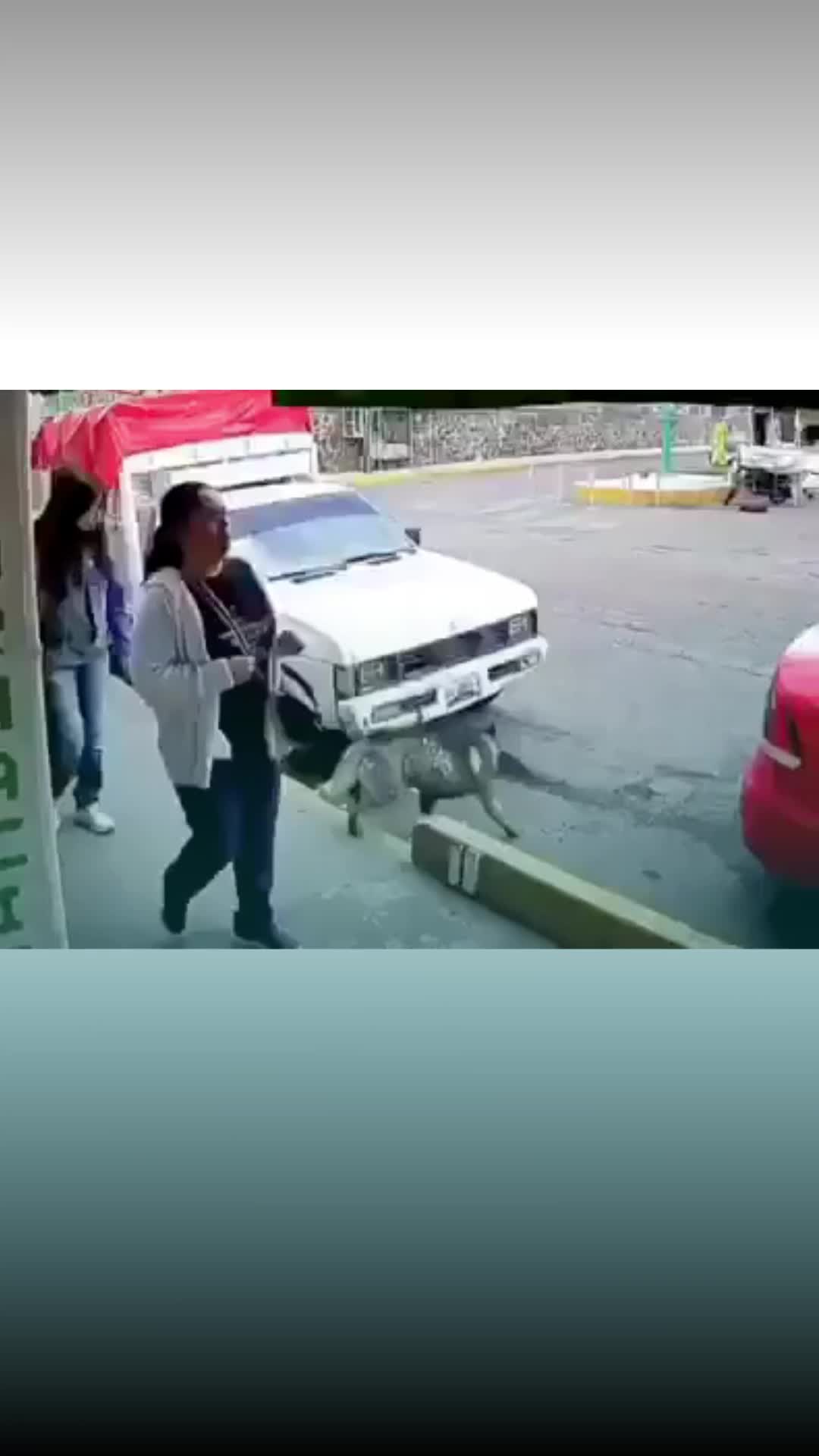 @Entre l&iacute;neas