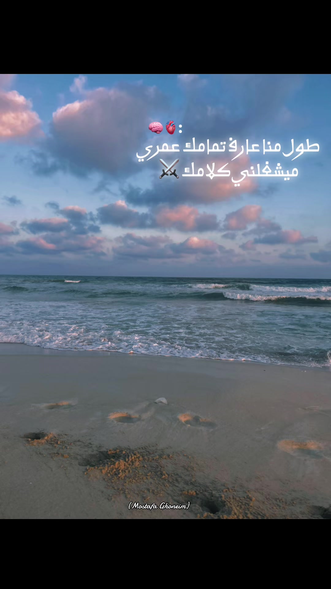 @Mustafa Ghoniem
