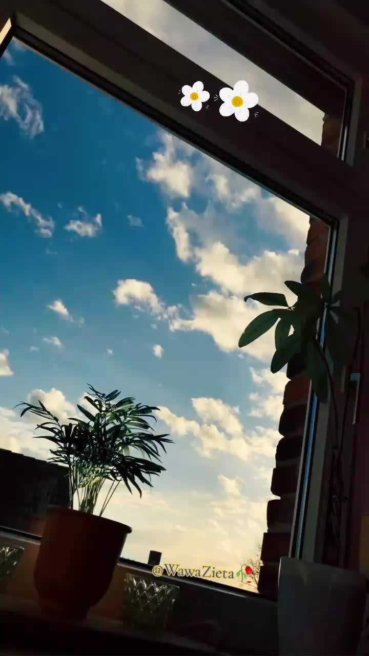@WawaZieta