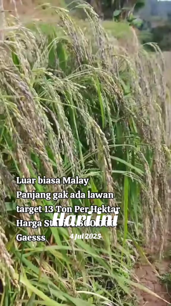 @PT. BHD INDONESIA