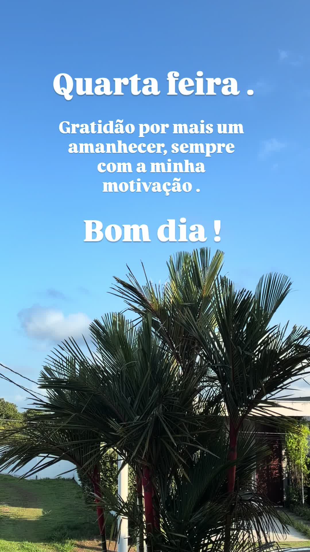 @Hermes Maia