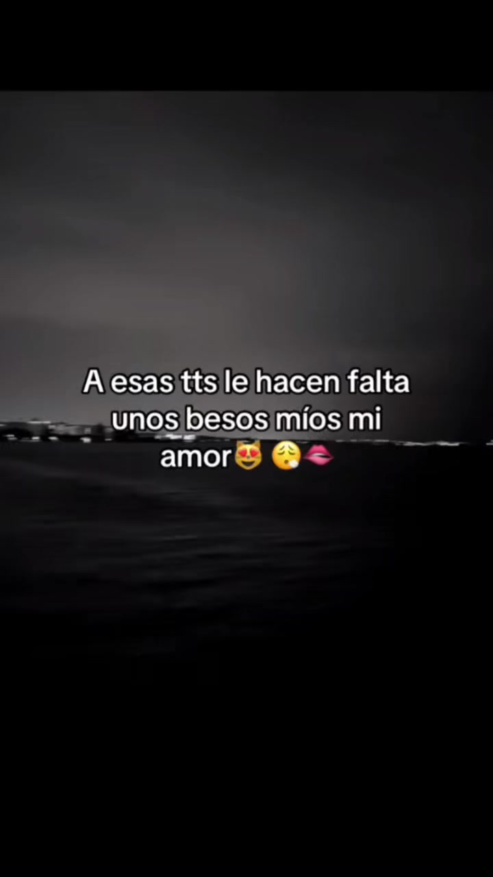 @Tu Sarquito Favorito