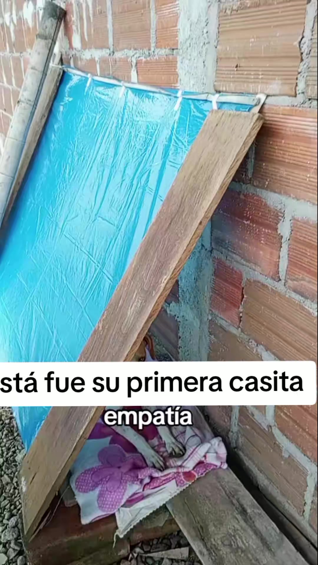 @ALFYULE