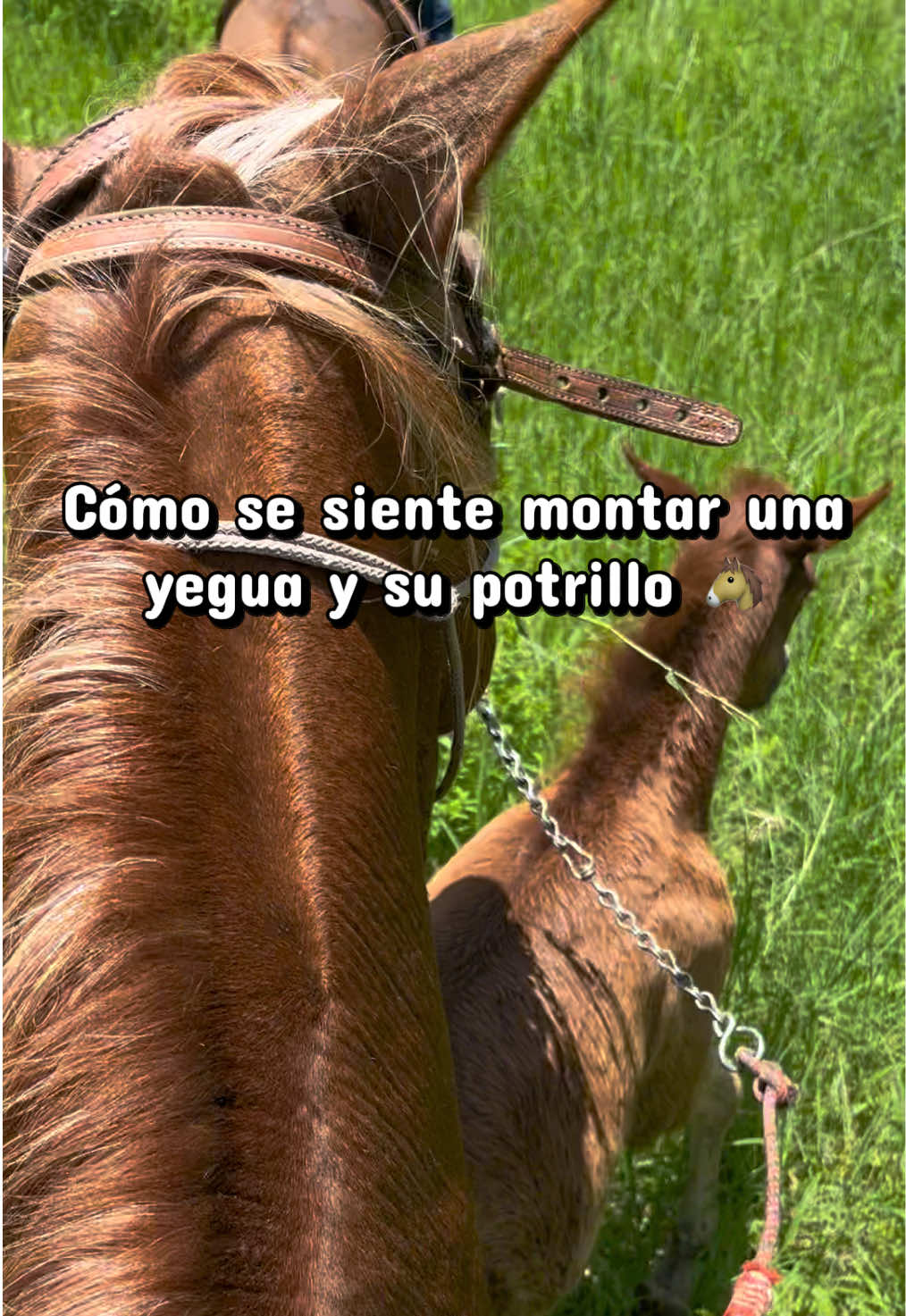 @CITTEM