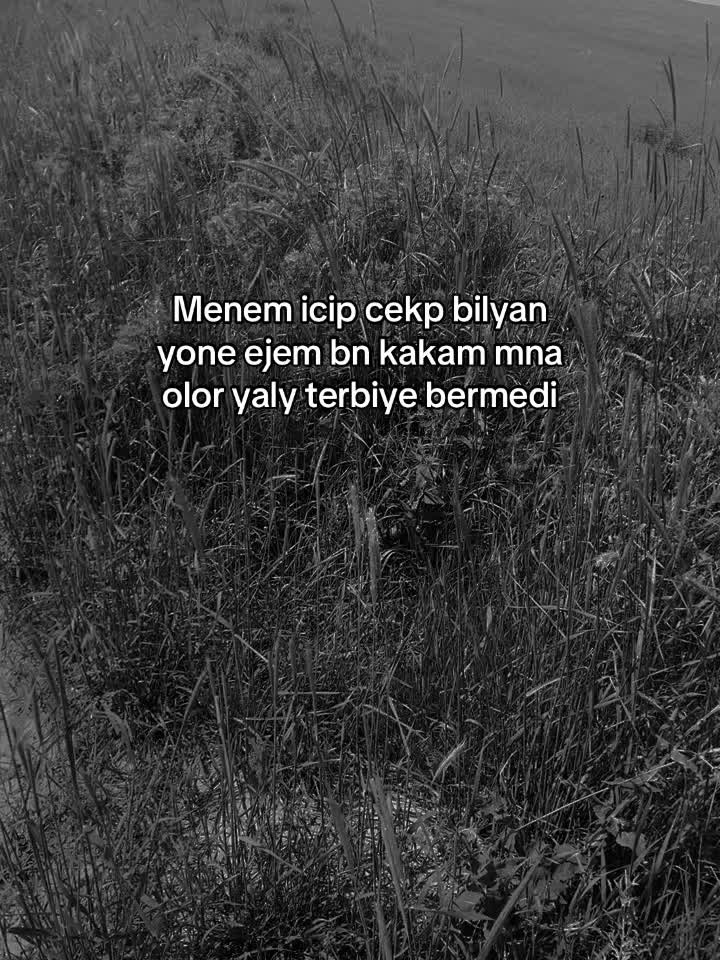 @multik🇵🇸