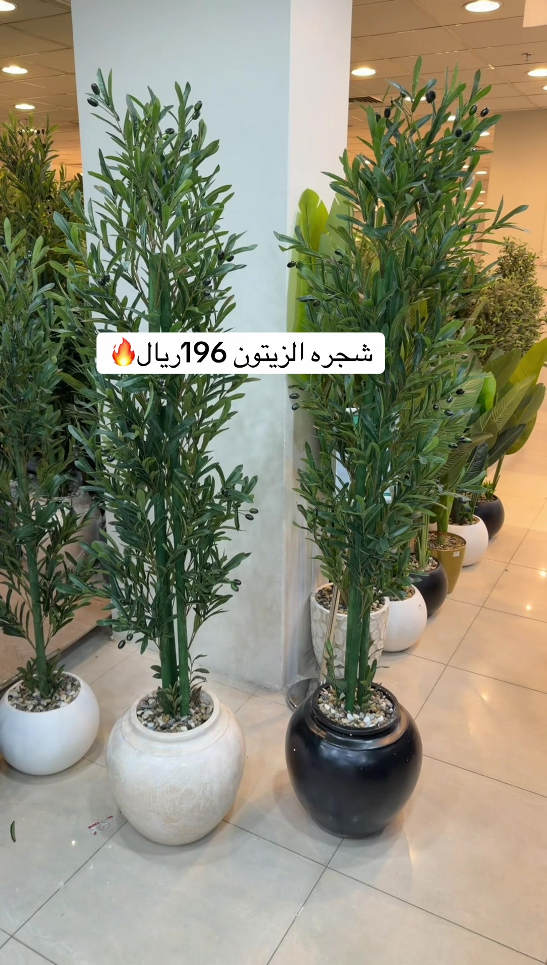 @العروبة سنتر