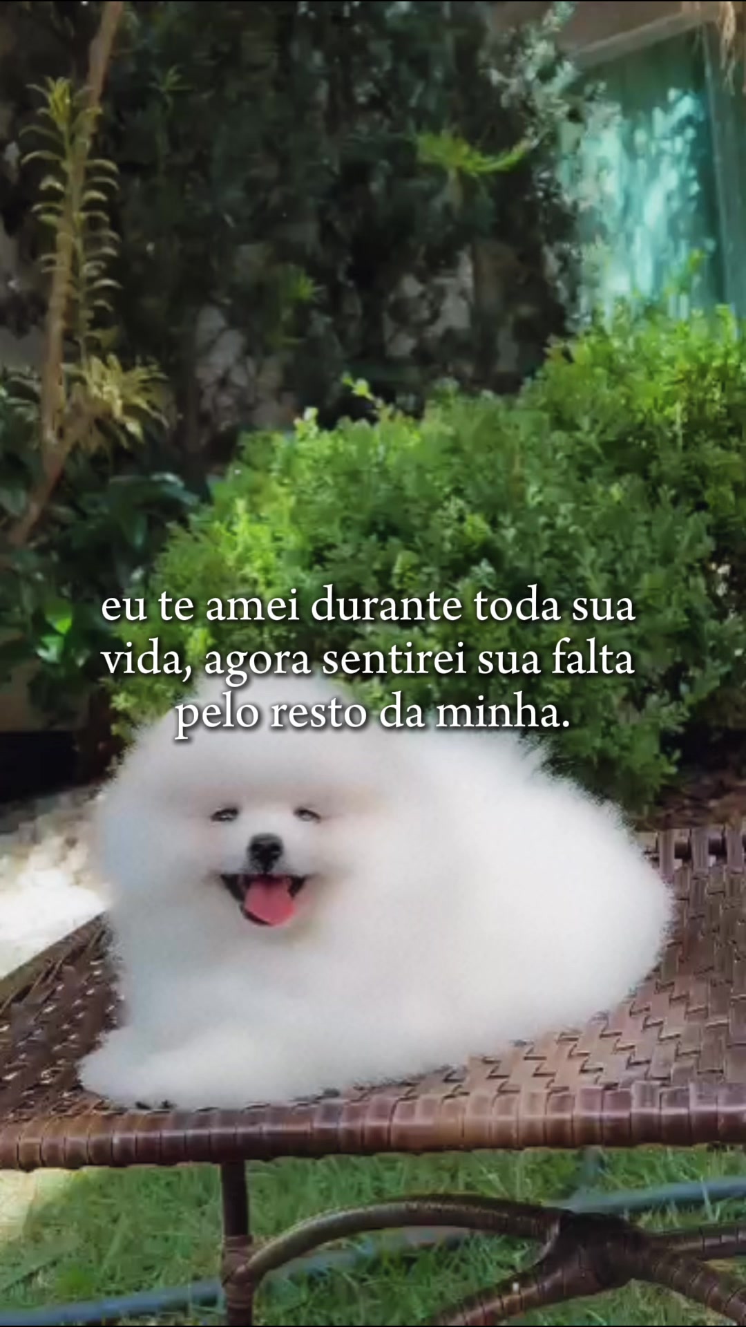 @path_fernandes