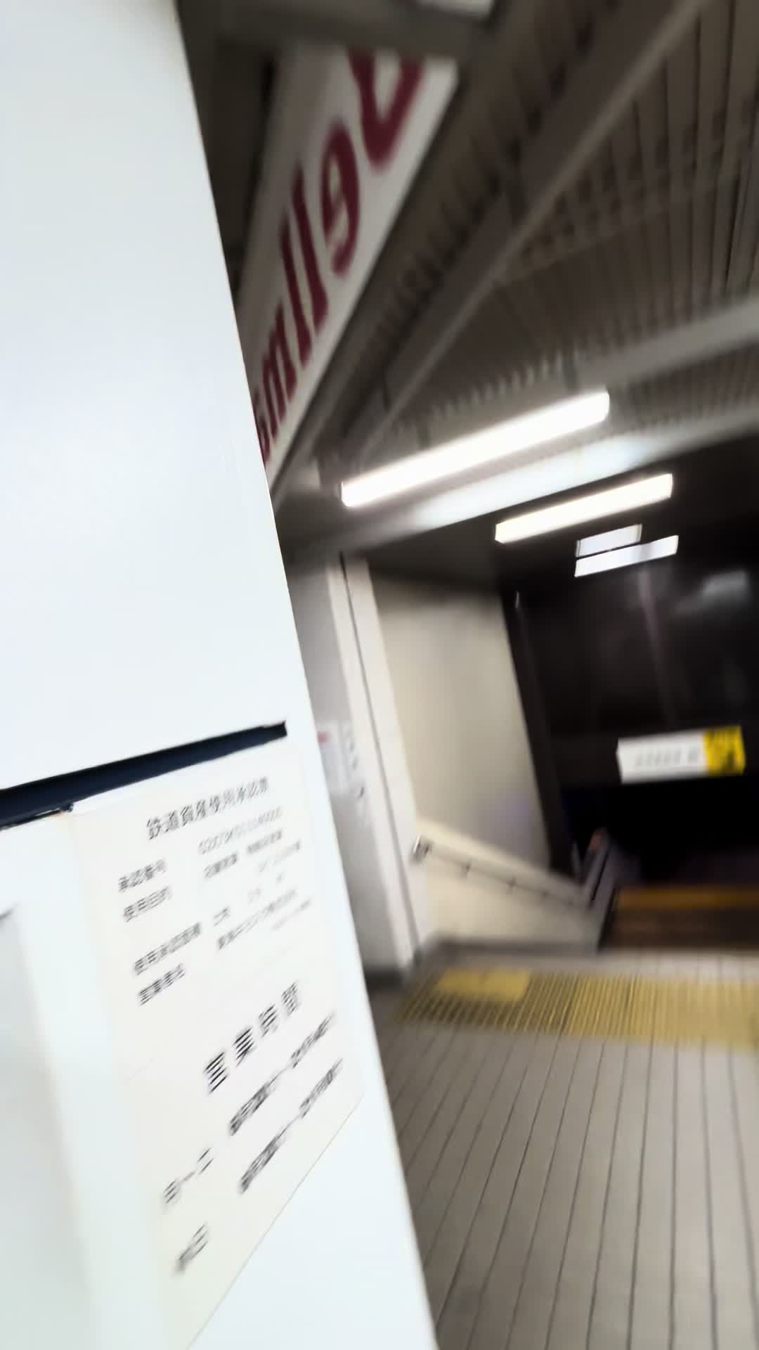 @菊