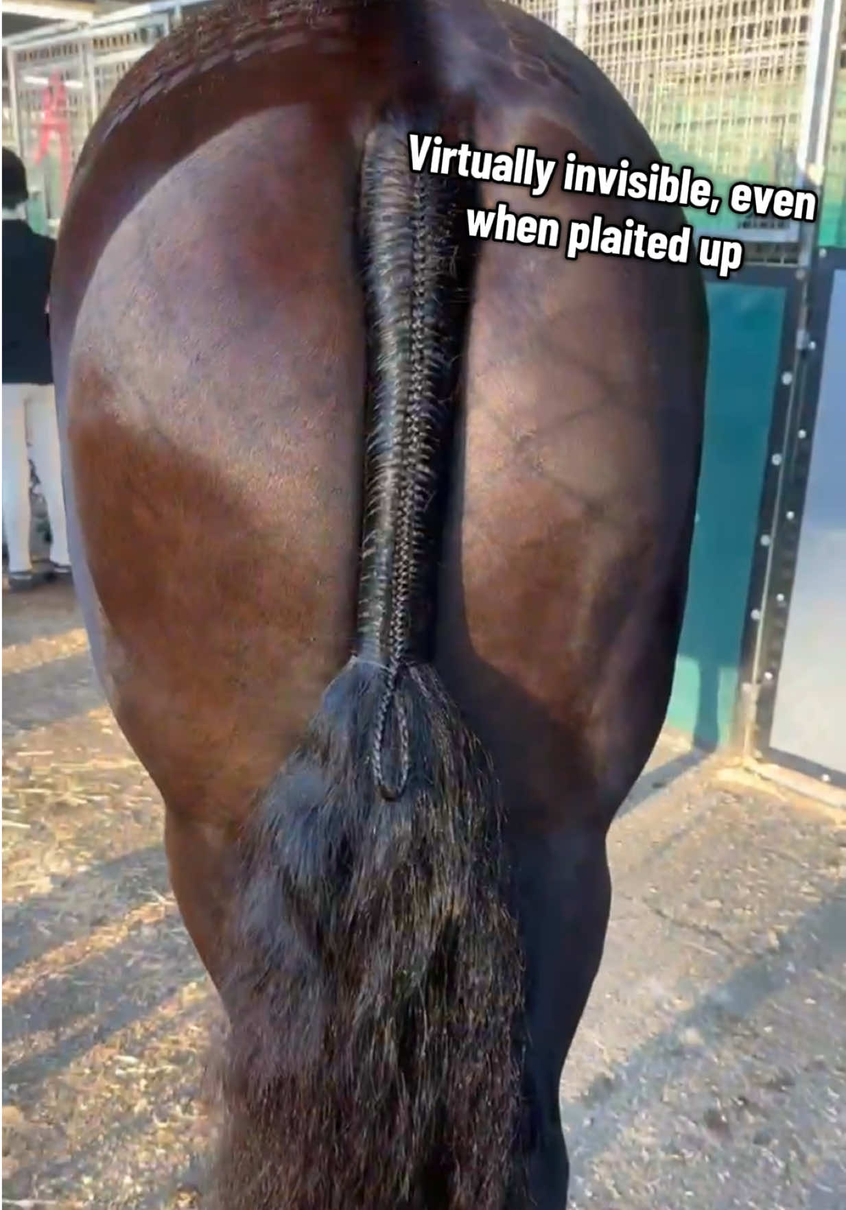 @Luxe Lengths Equine Extensions