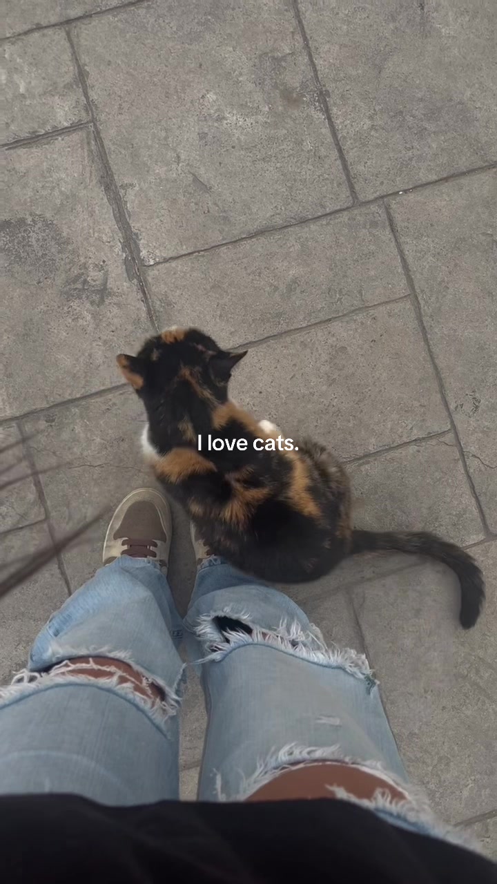@MEL🐈&zwj;⬛