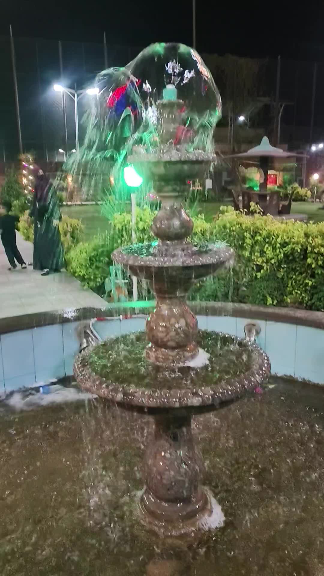 @z shah