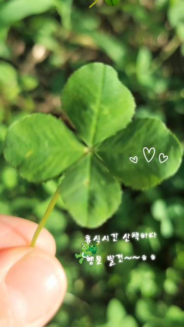 @๋น๋จ๊ณต์ฃผ๐